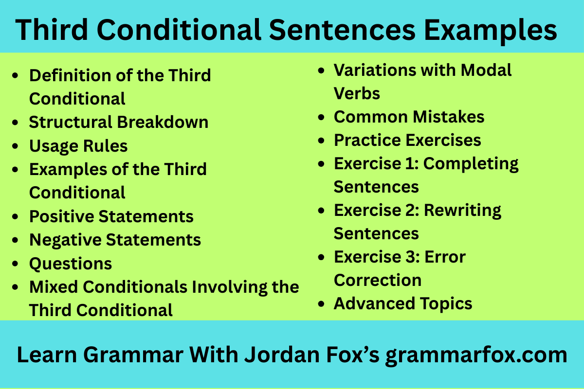Third Conditional Sentences Examples